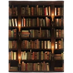 With Books On Soft Warm Fleece Throw Blankets For Lovers Gift.... Fixed Price $48.80.