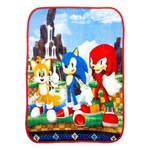 Franco Sonic The Hedgehog Anime Kids Bedding Super Soft Silk Touch Throw, 40 .... Fixed Price $32.23.