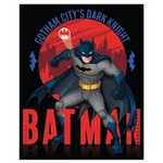 Dc Comics Batman Silky Throw Soft Blanket 40" X 50" Gotham City's Dark Knight. Fixed Price $9.99.