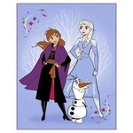 Frozen Anna Elsa Olaf Baby Raschel Blanket Adventure 40" X 50" Disney. Fixed Price $16.99.