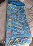 Liderstar Sleeping Bag Glow The Dark Dinosaurs Kids Blanket Blue Plush. Fixed Price $43.47.