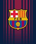 Fc Barcelona Luxury Plush Throw Queen Size Blanket 79"X94". Fixed Price $69.99.