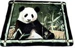 Shavel Throw Blanket Panda Bear With Bamboo 72X60. Fixed Price $30.00.