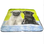 I Love Pugs Green Throw Blanket Dog Puppy 46" X 60" Soft Cozy. Fixed Price $24.99.
