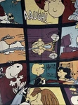Vintage Peanuts Snoopy Charlie Brown Comic Strip Woven Tapestry Throw Blanket. Fixed Price $90.00.