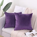 Pack Soft Velvet Couch Throw Pillow Covers 20X20 Inch For Sofa Living Room .... Fixed Price $17.21.