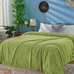 Inhand Sage Green Fleece King Blanket For Bed, Super Soft Flannel Cozy Blank.... Fixed Price $42.36.