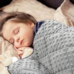 Maxtid Weighted Blanket For Toddler Lb 36X48 Polyester & Minky Premium Kids. Fixed Price $72.09.