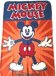 Disney Mickey Mouse Fleece Throw Blanket And Cinch Sack Backpack Theme Parks New. Fixed Price $29.66.