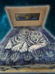 BM122 Solaron Blanket Korean Mink - Two White Tigers Blue King. Fixed Price $79.99.