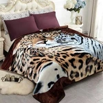 Jyk Korean Mink Fleece Blanket For Queen Bed 75"X 87", Lb - 2 Ply Reversibl.... Fixed Price $53.23.
