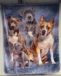 Club Pitbulls Dog Puppy Queen Size Blanket. Fixed Price $60.96.