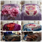 2-PLY Thick Heavy Warm Soft Blanket Queen King Korean Style Mink Winter Throws. Fixed Price $47.60.