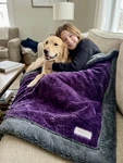 Saranoni Luxury Lush Blanket Xl 60X80 Eggplant Purple Charcoal Grey New In Bag. Fixed Price $89.99.