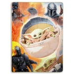 Star Wars The Mandalorian Longest Journey 60 X 80 Inch Silk Touch Throw Blanket. Fixed Price $47.99.