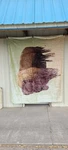 Buffalo Queen Size Blanket. Fixed Price $53.68.