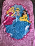 Disney Princess Throw Blanket Micro Raschel Plush Infant Babylight Pink Acrylic. Fixed Price $18.99.