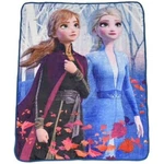 Disney Frozen Ii Anna Elsa Micro Plush Throw Super Soft Blanket For Kids. Fixed Price $21.99.