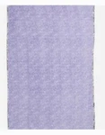 Vera Bradley Fluffy Fleece Blanket 80" X 50" Maddalena Paisley Soft Nwt $75. Fixed Price $45.00.