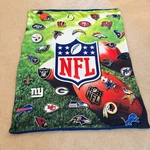The Northwest Company Nfl Shield Throw Blanket 47X56 All Team Logos. Fixed Price $19.99.