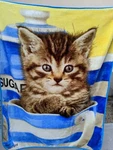 Kitten In Cup Cat Plush Throw Blanket The Northwest Company Greg Cuddiford. Fixed Price $13.50.