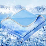 Cooling Blanket TWIN-60 X80 Absorbs Heat Lightweight Thin All Season Inhand. Fixed Price $74.99.