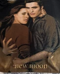Twilight New Moon Blanket Bella And Edward. Fixed Price $22.00.