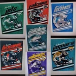 New Nfl Officially Licensed Northwest Raschel Throw Classic Blanket 60" X 80". Fixed Price $29.22.