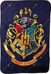 Northwest Harry Potter Micro Raschel Throw Blanket, 46" X 60", House Pinstripes. Fixed Price $28.79.
