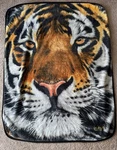 Northwest Co Tiger Head Gold Eyes Fleece Throw Blanket 49 X 60 Morgan Fuzzy. Fixed Price $25.00.