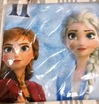 Disney Frozen 2 Anna And The Snow Queen Big Blanket Sega Premium Bedding New Jp. Fixed Price $37.69.
