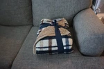 Members Mark 60X70" Plaid Plush Throw Blanket Blue Brown And White. Fixed Price $19.99.