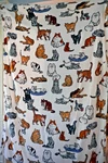 Vera Bradley Essential Throw Blanket 50" X 80" Life Cream Nwt. Fixed Price $49.99.