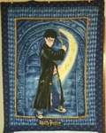 Vintage 2001 Harry Potter & Sorcerer's Stone Blanket Throw Warner Bros 38"X49". Fixed Price $19.99.