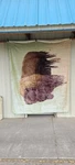 Buffalo Queen Size Blanket Bedspread. Fixed Price $55.46.