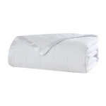 Beatrice Home Fashions Down Alternative Solid Color Blanket Twin White. Fixed Price $32.05.