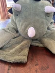 Pillowfort Rex Dinosaur Blanket Plush Hooded Hand Pocket Green Warm Soft 40X50. Fixed Price $24.00.