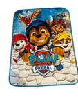 Northwest Paw Patrol 60"X80" Twin Plush Raschel Blanket. Fixed Price $39.99.