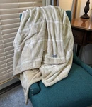 Brookstone Plush Electric Heated Throw Blanket Tan Beige Stripe 60 X49 (no Cord). Fixed Price $36.87.