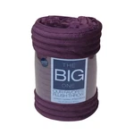 The Big One Oversized Plush Throw Blanket 5 6 Supersoft Cozy Faux Fur Purple. Fixed Price $17.15.