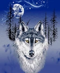 Super Soft Mink Quality Korean Style Queen Blanket - Grey Wolf Head. Fixed Price $86.51.