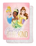 Northwest Disney Princess Silk Touch Soft Plush Throw Blanket, 60" X 80", Royal. Fixed Price $34.99.