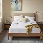 Beautyrest 3M Scotchgard Heated Mattress Pad - Electric Bed Warmer With 5 Hea.... Fixed Price $125.74.