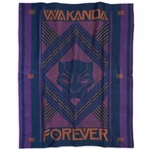 Black Panther Throw From Disney Store. Fixed Price $31.66.