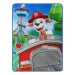 Northwest Paw Patrol Micro Raschel Throw Blanket 46 X 60 On The Way. Fixed Price $33.64.