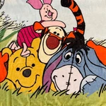 Winnie Pooh All My Friends Fleece Blanket Northwest Disney Tigger Piglet Eeyore. Fixed Price $36.95.