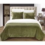 Chic Home Evie Nwt Super Soft Green 2 Piece Reversible Twin Xl Blanket & 1 Sham. Fixed Price $75.00.