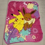 Franco Pokemon Anime Pikachu Eevee Micro Raschel Soft Throw Blanket 45 X55 Euc. Fixed Price $15.00.