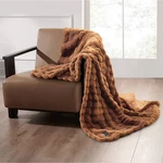 Brookstone Heated Oversized Throw. Fixed Price $22.09.