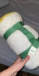 Aerie Sherpa Throw Blanket Blue Green White Cozy Roll Up Travel New. Fixed Price $10.00.